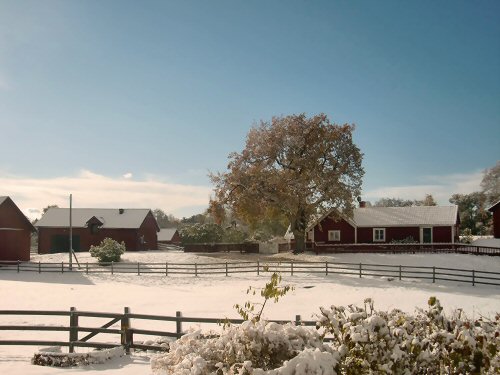 Blick frn ena boningshuset ver norra delen av grden